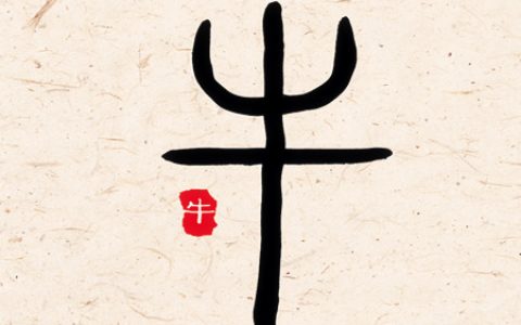 属牛女人生于几月偏财运好