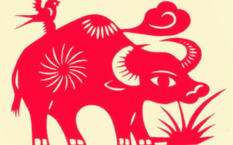属牛佩戴什么运气最好