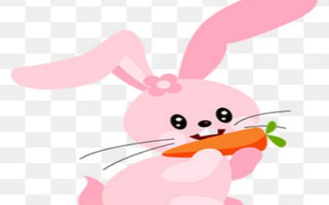 兔和猪的属相合不合 – 兔和猪的婚配怎样
