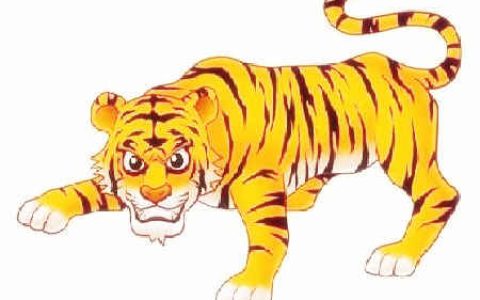 属虎的年份、是多少年的