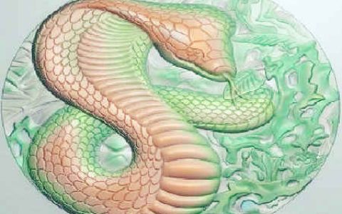 属蛇人的婚姻与命运
