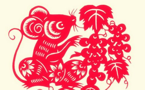 属鼠佩戴什么运气最好