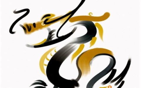 属龙和什么属相最合