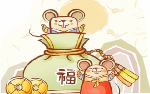 属鼠一生财运如何