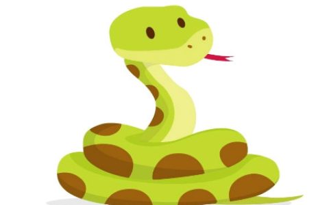 属蛇生什么属相宝宝好