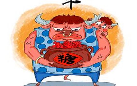 属牛的男人对待感情如何