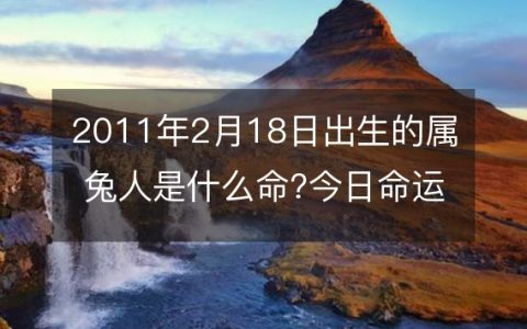 2011年2月18日出生的属兔人是什么命?