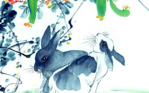 属兔的年份、是多少年的