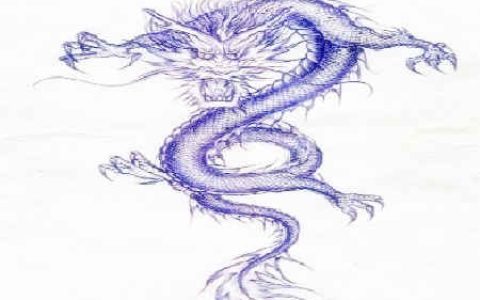 龙配什么生肖最好