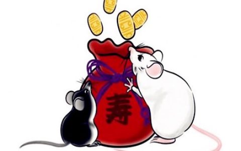 属鼠戴什么饰品旺财