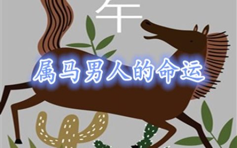 属马的男人命好不好