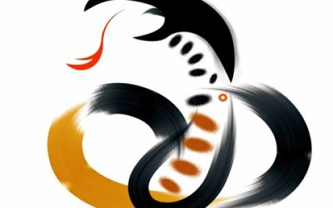 属蛇和什么属相最合