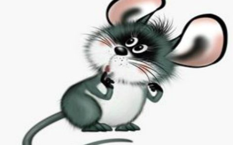 属鼠今年健康运如何