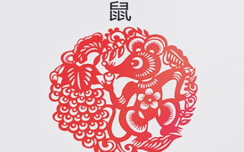 属鼠办公室放什么植物旺财