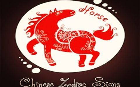 属马的人取名