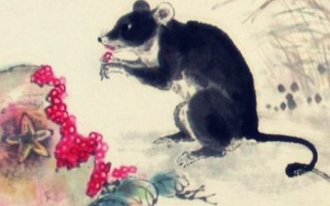 属鼠的家里挂什么画好