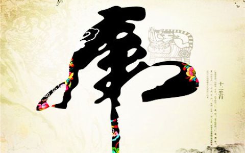 属虎生于什么时辰财运好