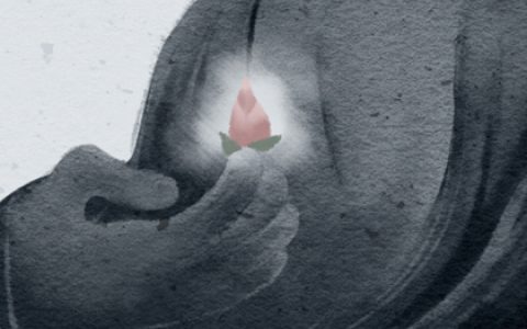 鸿运当头摆放风水禁忌 怎么养