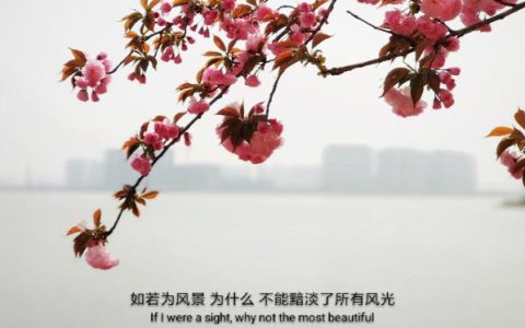 手相说：什么样的男人感情专一，顾家又负责