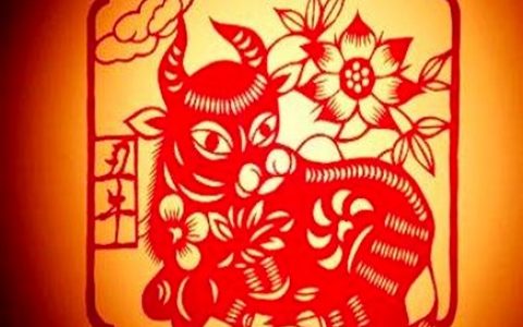 属牛今年健康运如何