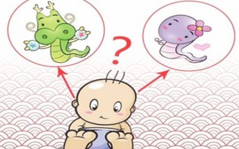 蛇和龙的属相合不合 - 蛇和龙婚配怎么样