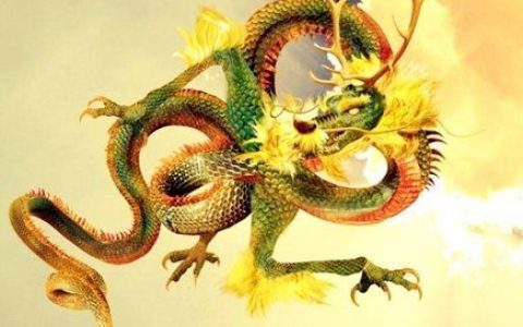 属龙和什么属相合财