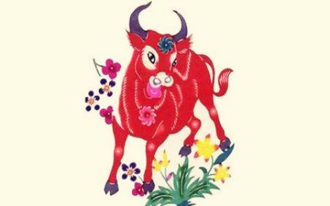 属牛的桃花运在几月份
