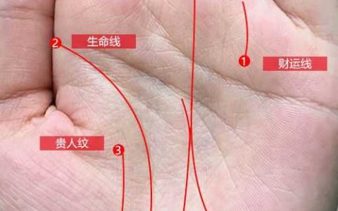 手相怎么看事业线，详细分析事业线大全