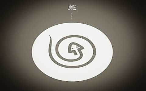 属蛇的人出生月的命运