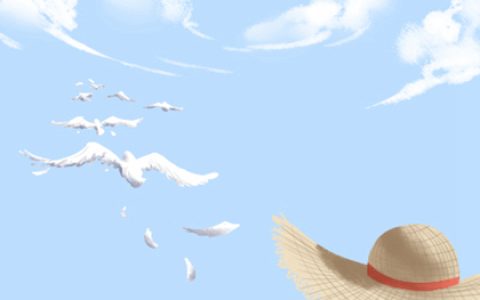 大办公室养什么花好？风水养人聚财