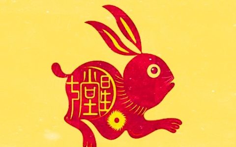 生肖兔的财运方位