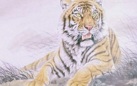 属虎和什么生肖合财