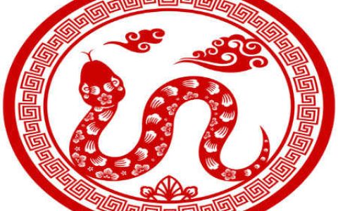 属蛇的年份、是多少年的