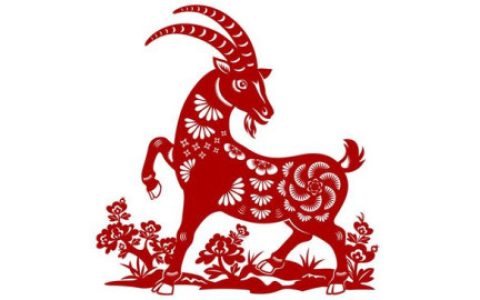 91年的属什么的是什么命？