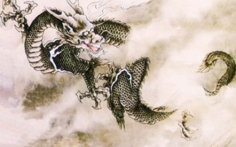 属龙适合做什么生意
