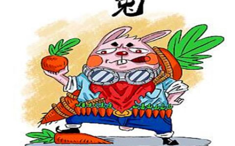 属兔的男人对待感情如何