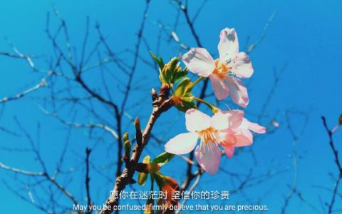 男人有这三条特征，十足“顾家男”，你找对了吗？