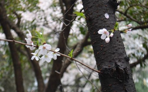 婚后非常顾家的男性面相特征