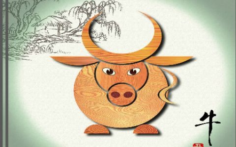 属牛住几层楼最好