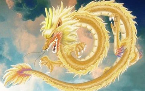属龙一生财运如何