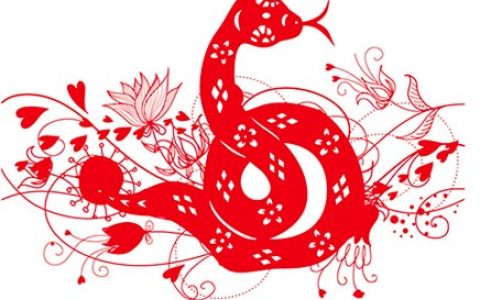 属蛇的幸运色是什么