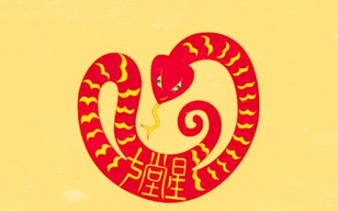 生肖蛇的财运方位