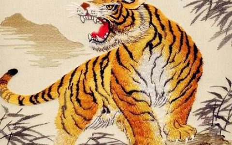 属虎戴什么饰品旺财