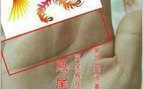 凤尾纹有何寓意？手有凤尾纹的人富贵多福!
