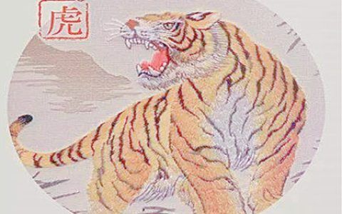 属虎人起名字的宜忌
