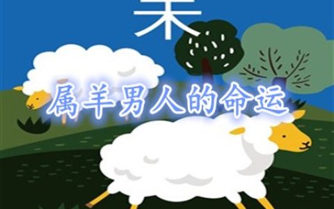 属羊的男人命好不好