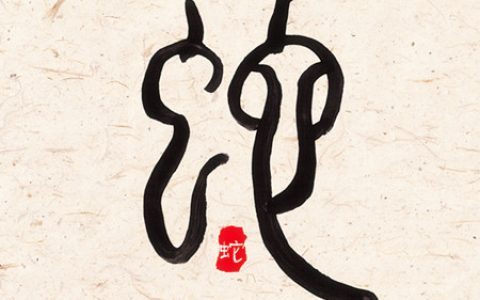 属蛇女人生于几月偏财运好
