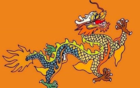 最适合属龙男的老婆