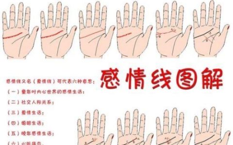 感情线图解大全，感情线到中指下方表示什么？