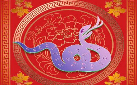 属蛇和什么属相不合